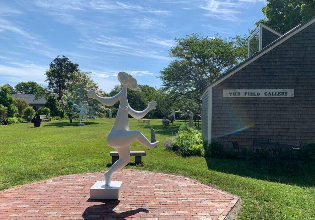 Blog #39 - Retiree’s Guide to Martha’s Vineyard_ What to Do, See, and Discover - Field Gallery