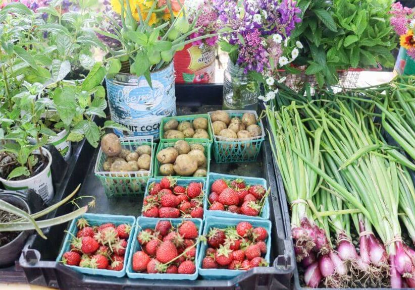 Blog #93 West Tisbury Farmers Market (PC Marnely)